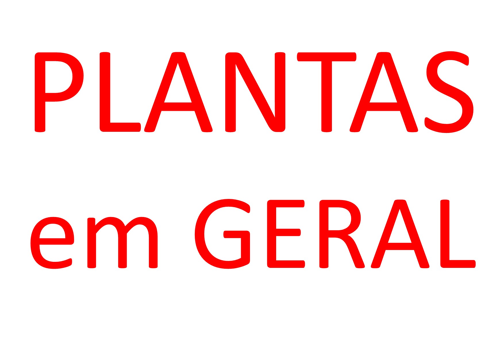 Plantas em geral.jpg